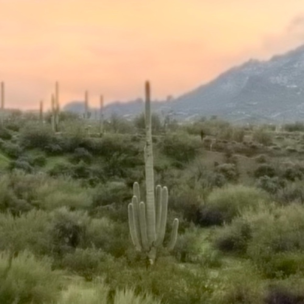 Meet your Posher, Cynthia